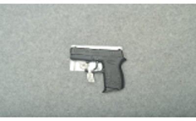 Diamondback ~ DB380 ~ .380 Auto - Image 2 of 2