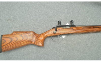 Remington ~ 700 ~ .243 Win