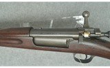 Springfield Armory ~ Model 1896 ~ .30-40 Krag - 9 of 9