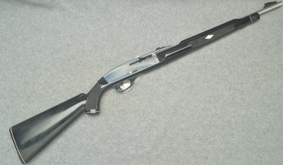 Remington ~ Nylon 66 ~ Apache Black ~ .22LR