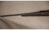 Winchester ~ Model 70 ~ .30-06 Spr. - 6 of 6