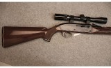 Remington ~ Nylon 66 ~ .22 LR - 2 of 6