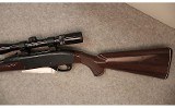 Remington ~ Nylon 66 ~ .22 LR - 5 of 6