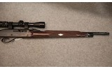 Remington ~ Nylon 66 ~ .22 LR - 3 of 6