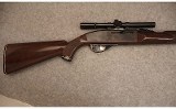 Remington ~ Nylon 66 ~ .22 LR - 2 of 6
