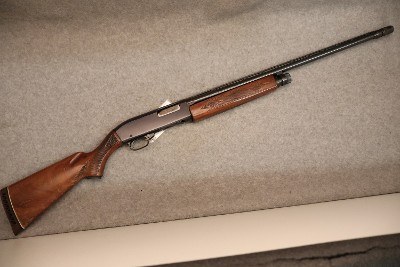 Ted Williams ~ M200 ~ 20 GA