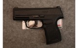 SIG Sauer ~ P365 - 2 of 2