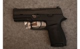 SIG Sauer ~ P320 - 2 of 2