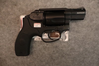 Smith & Wesson ~ Bodyguard