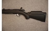 Ruger ~ American ~ .17hmr - 2 of 6