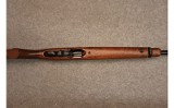 Ruger ~ 10/22 - 4 of 6