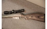 Marlin ~ 917M25 ~ .17 Mach 2 - 5 of 6