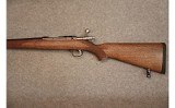 Ruger ~ M77/17 ~ .17 HMR - 5 of 6