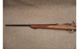 Ruger ~ M77/17 ~ .17 HMR - 6 of 6