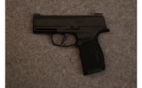 Sig ~ P365X - 2 of 2