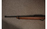 Ruger ~ 10/22 Carbine ~ .22 LR - 6 of 6