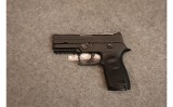 Sig Sauer ~ P250 ~ .45 ACP - 2 of 2