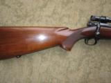 WINCHESTER MODEL 70 PRE WAR 7MM CARBINE EXTREMELY RARE. - 7 of 12