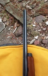 Remington 1100 Lt20ga. Special Field - 10 of 12