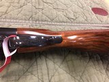 Caesar Guerini Summit Ascent 12 Ga 32'' Barrels DTS Stock
WOW Wood - 9 of 22