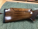 NEW Caesar Guerini Summit Ascent Sporting 12 Ga 32'' DTS Stock - 10 of 22