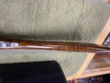 Limited Edition Ceasar Guerini Ellipse Gold Curve 20GA 28'' Solid Game Rib English Stock - 9 of 9