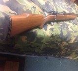 custom Rifle, Mauser action in .243 Rockchucker - 1 of 14