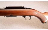 Winchester Model 100 (Pre-64) In .243 Winchester - 6 of 7