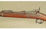 Springfield M1884 Rifle .45-70 - 7 of 9