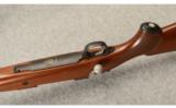 Ruger M77 Hawkeye African .375 Ruger - 9 of 9