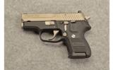 Sig Sauer P224 T-Tone 9mm Para - 3 of 3