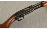 Winchester Model 61
.22 S/L/LR - 9 of 9