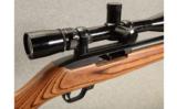 Ruger 10/22 Customized
.22LR - 4 of 8