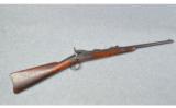 Springfield ~ 1879 Carbine ~ .45-70 Govt. - 1 of 9