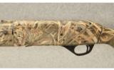 Stoeger ~ M3500 Turkey ~ 12 Ga - 7 of 9