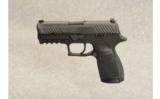 SIG Sauer ~ P320 Compact ~ .45 Auto - 2 of 2