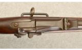 Springfield ~ 1884 Saddlering Carbine ~ .45-70 - 4 of 9
