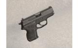 SIG Sauer ~ P224 ~ .40 S&W - 1 of 2