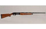 Armsan ~ Pointer ~ 28 Gauge - 1 of 1