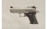 AMT ~ AutoMag II Compact ~ .22 Magnum - 2 of 2