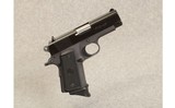 Para Ordnance ~ P12 45 ~ .45 ACP - 1 of 1