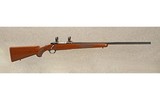 Ruger ~ M77 ~ .308 Winchester