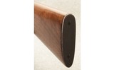 Winchester ~ Model 61 ~ .22 Sort, Long, Long Rifle - 9 of 9