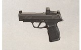 SIG Sauer ~ P365 XL ~ 9 mm Luger - 2 of 2