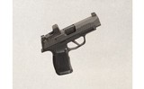 SIG Sauer ~ P365 XL ~ 9 mm Luger - 1 of 2