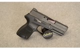 SIG Sauer ~ P250 ~ 9mm