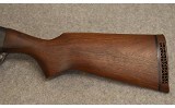 Ithaca ~ Mag 10 ~ 10 Gauge - 7 of 9