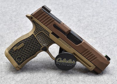Sig Sauer P365 XL