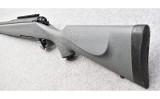 Remington Model 710 ~ .243 Winchester - 9 of 11