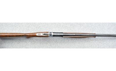 Investarm ~ 410/20 ~ 20 Gauge & 410 Gauge ~ Over/Under Shotgun - Image 11 of 11
